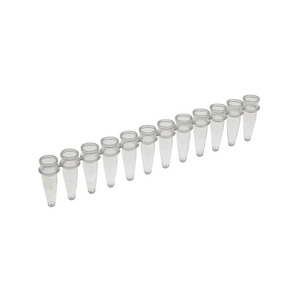 PCR reaction strip, 12 tubes